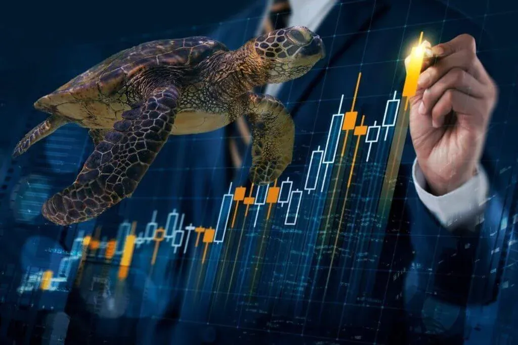 Turtle Trading là gì? Phương pháp giao dịch theo xu hướng dành cho nhà đầu tư Crypto