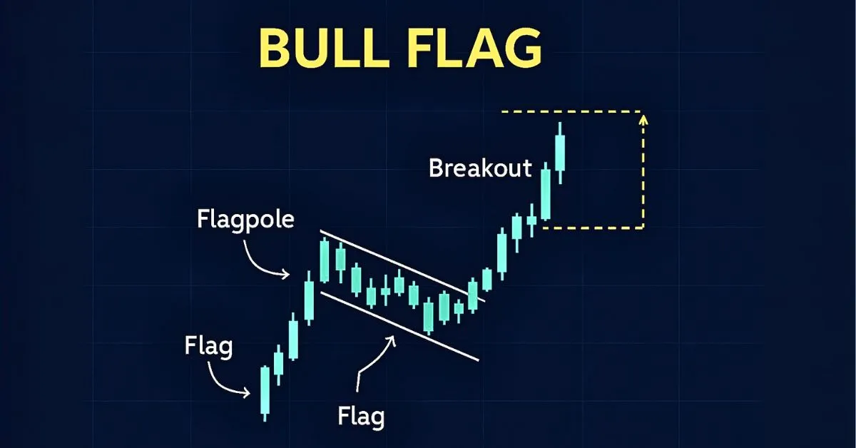 Mô Hình Bull Flag: Nhận Diện Và Chiến Lược 
