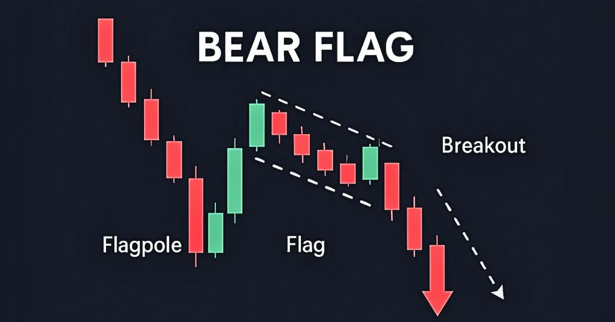 Bear Flag là gì? Mô hình giá báo hiệu xu hướng giảm 