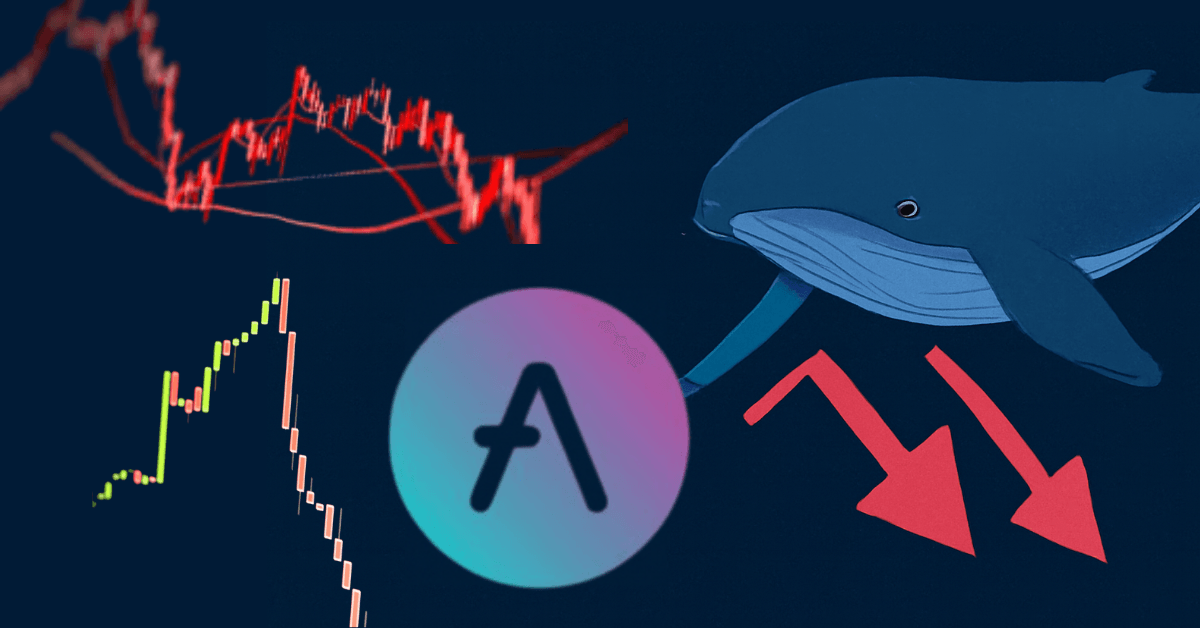 Cá Voi Rút 1.7 Tỷ USD Khỏi Aave, DeFi Rung Chuyển