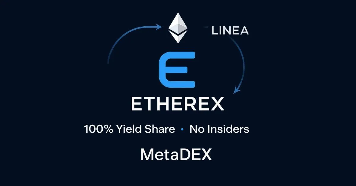 etherex-cach-moi-tao-loi-nhuan-crypto-tren-linea-2813