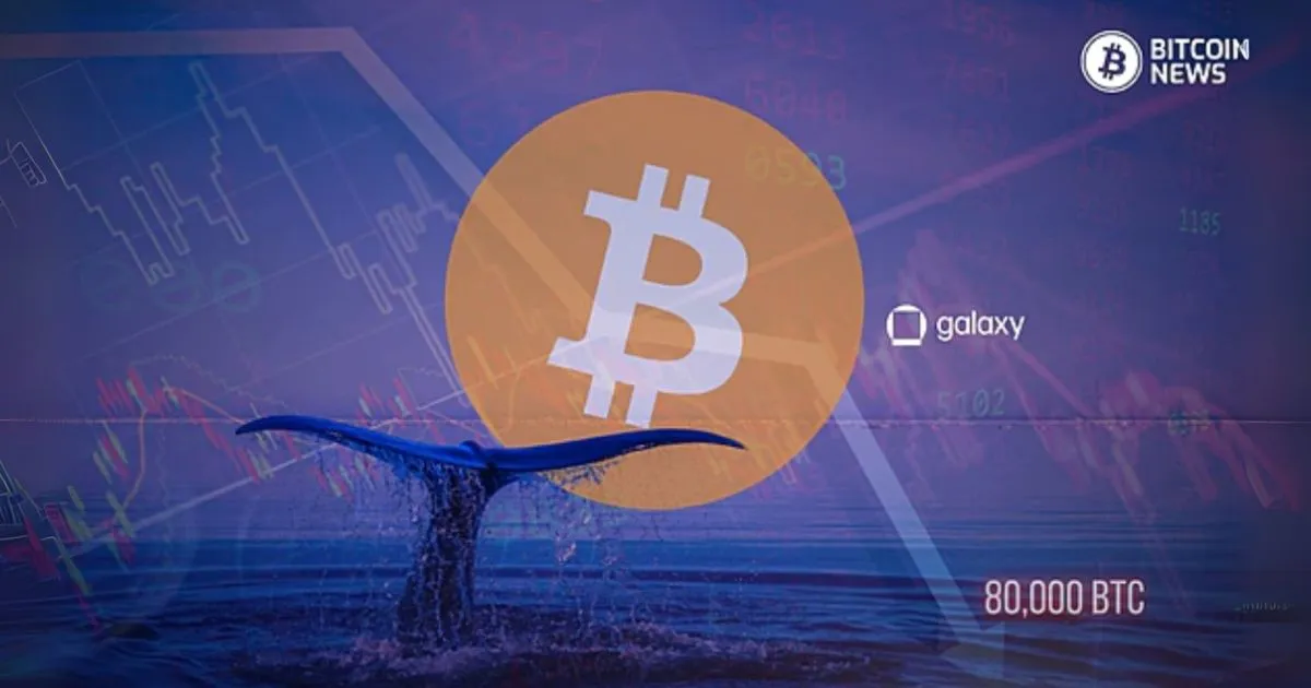 Bitcoin Drops 2.3% as Whales Sell 80,000 BTC