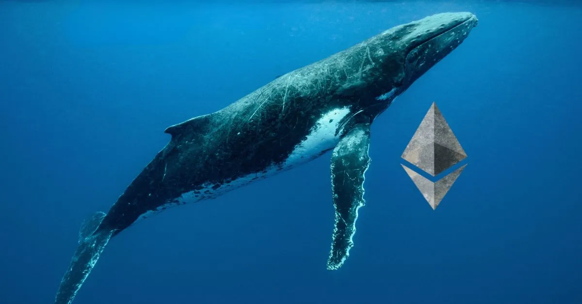 Ethereum Whale Returns, Buys $28M ETH On Kraken