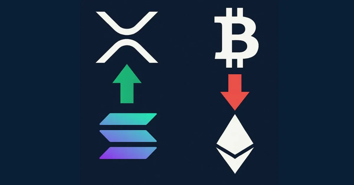 XRP Và Solana Mạnh Lên Khi Nhà Đầu Tư Lo Ngại BTC, ETH